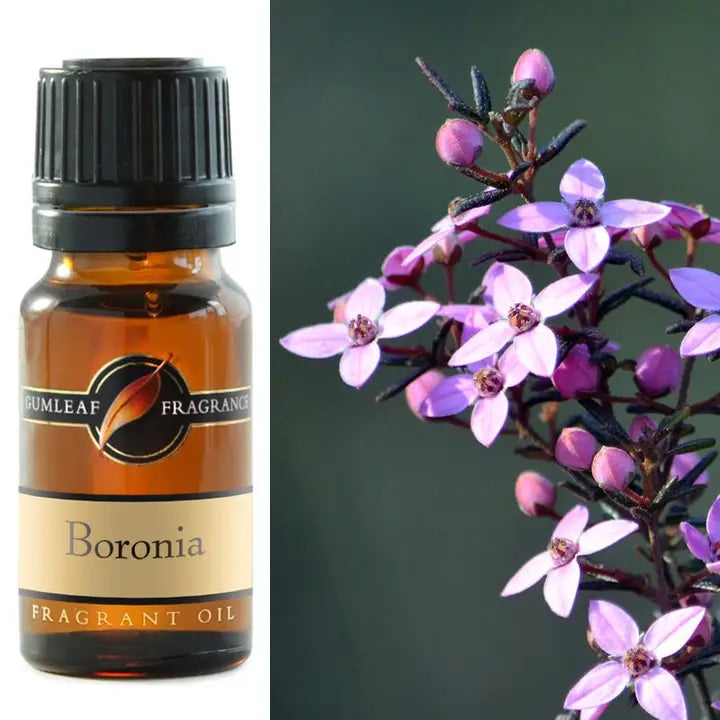 Boronia Fragrance Oil