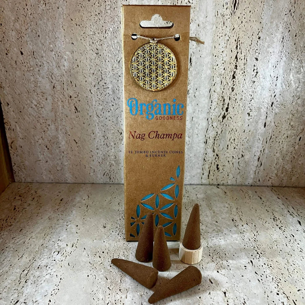 Organic Goodness Cones - NAG CHAMPA